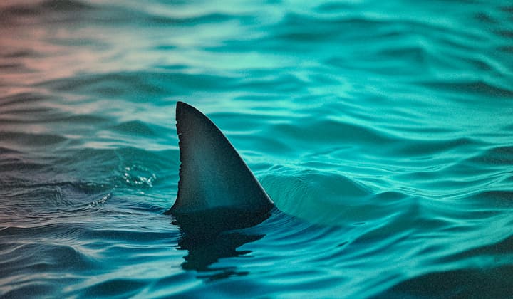 GrimResource - 초기 침투와 우회를 위한 Microsoft 관리 콘솔