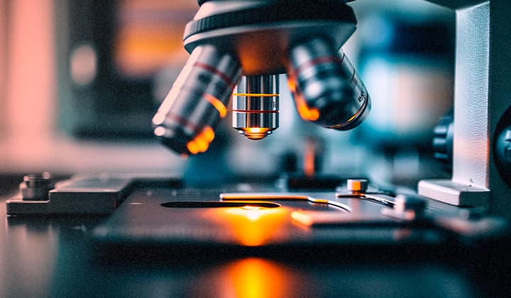 나노레모트, 파이널드래프트의 사촌동생