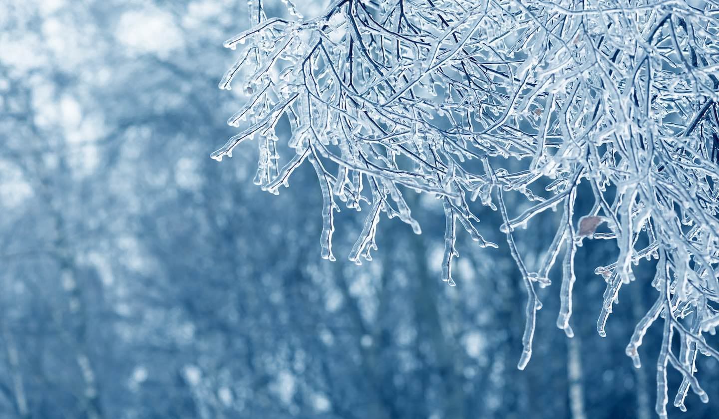 ICEDID의 영구 동토층 해빙 요약