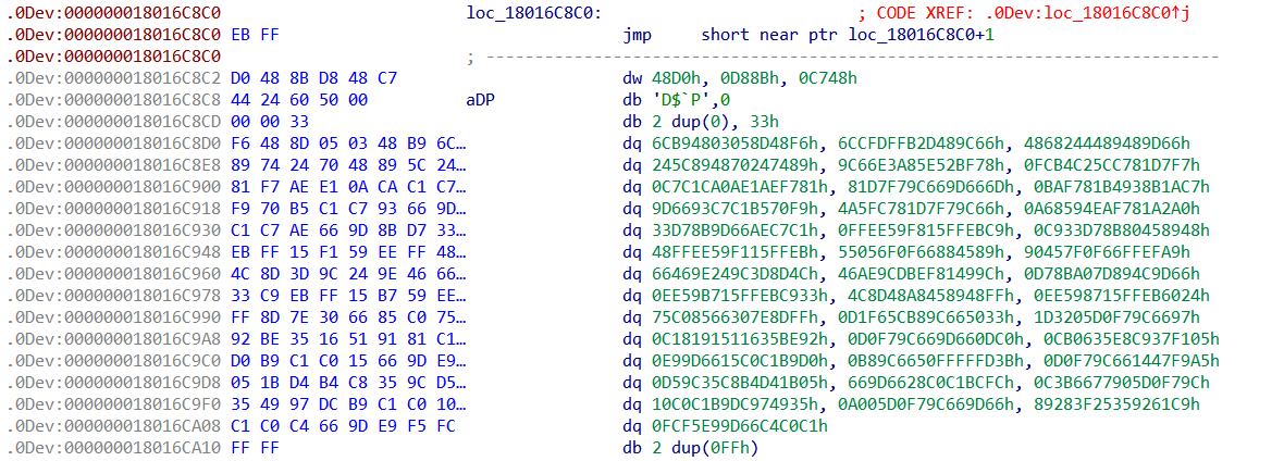 Anti-disassembly technique in DoubleLoader