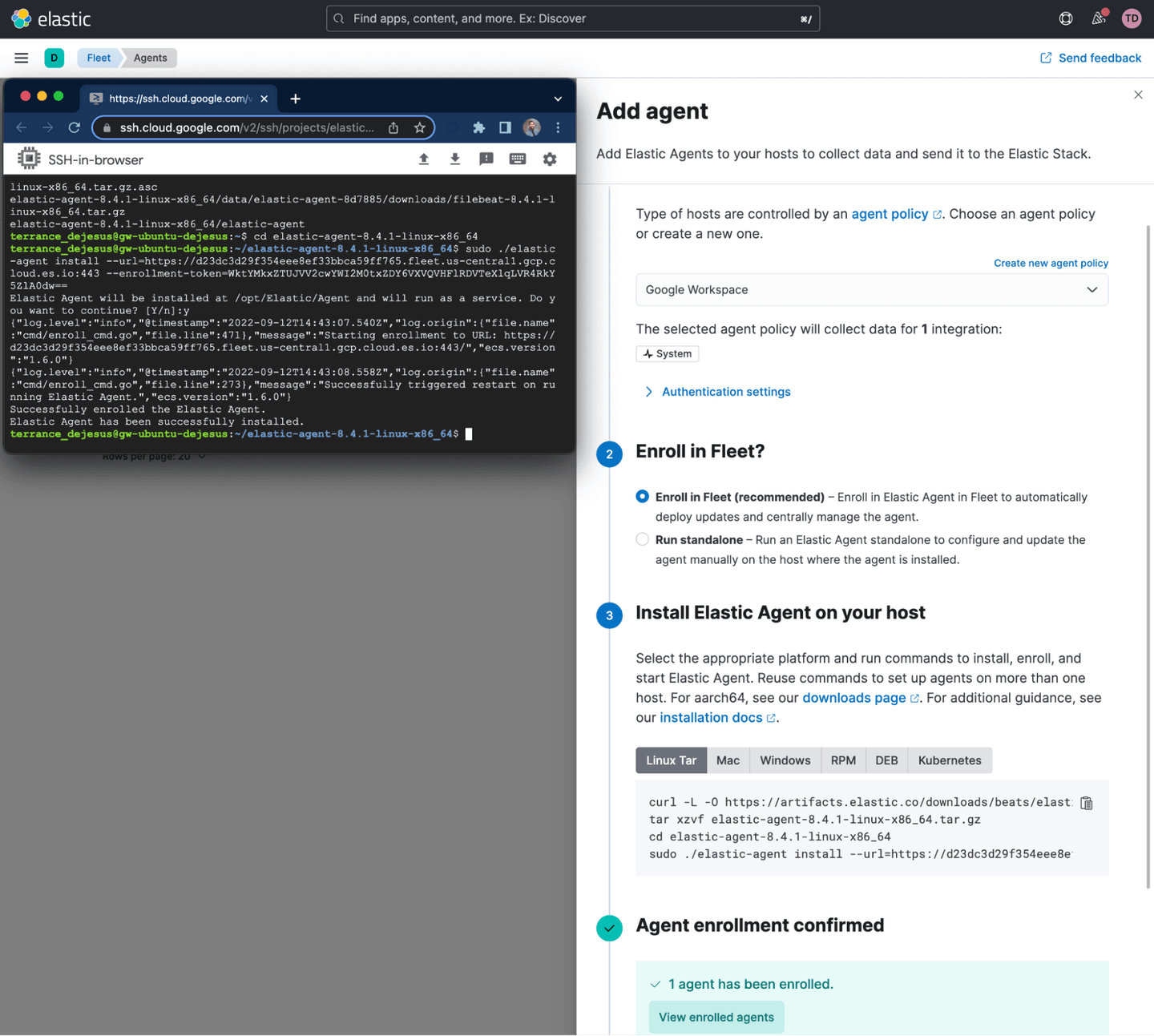 Installed Elastic agent on Linux endpoint and Fleet status page in Elastic Stack